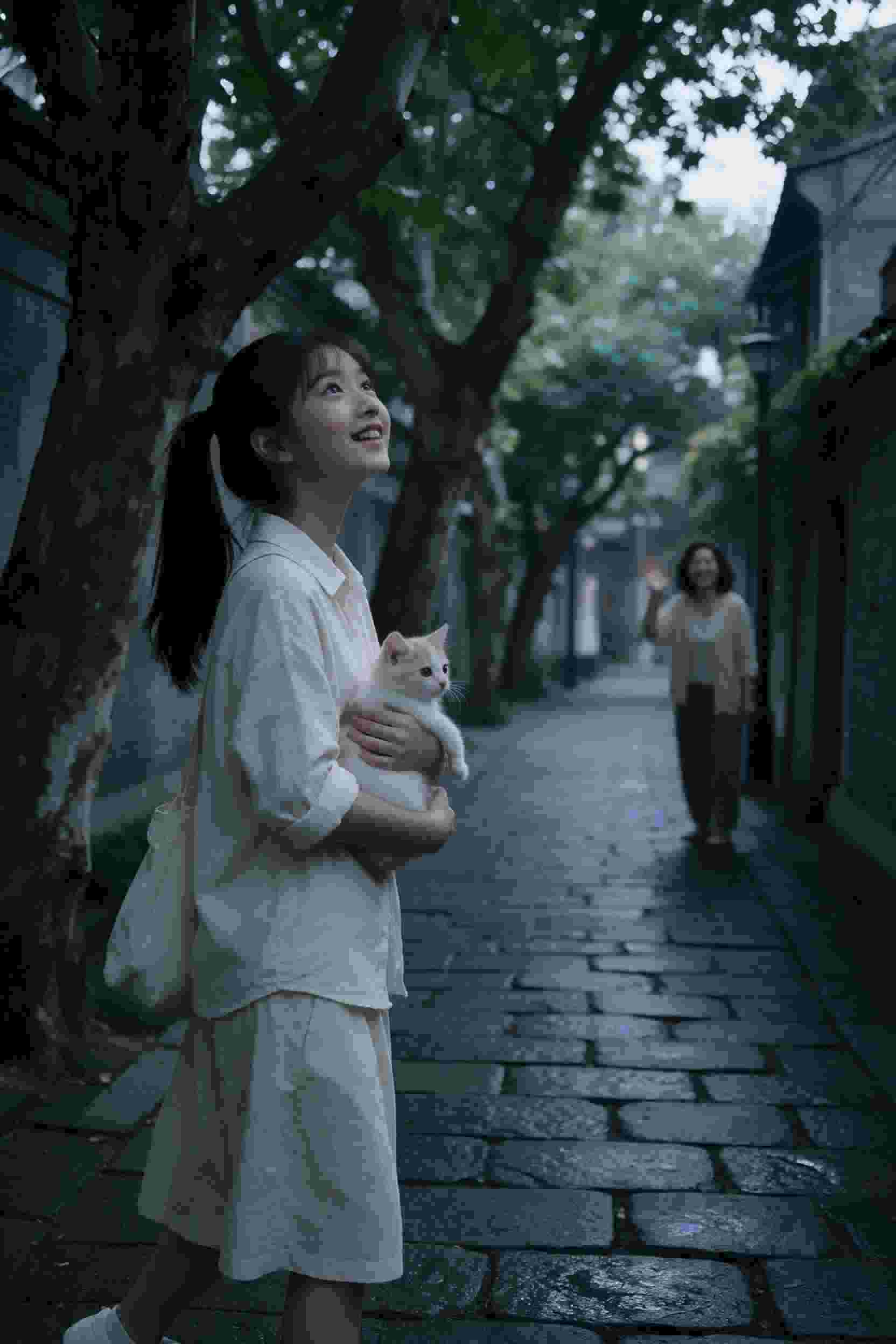 长月烛心